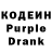 Amphetamine Premium Sasha Kashernuk