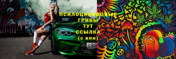 тгк Зеленокумск