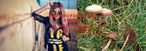герыч Зерноград