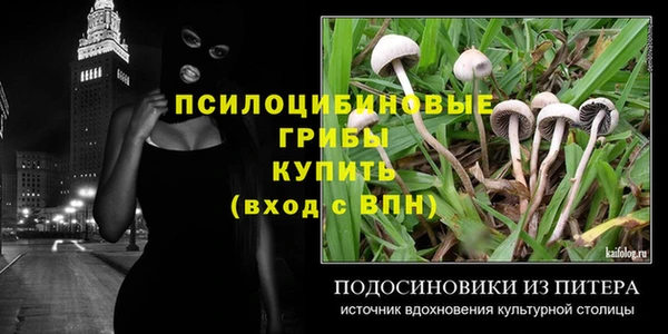 тгк Зеленокумск