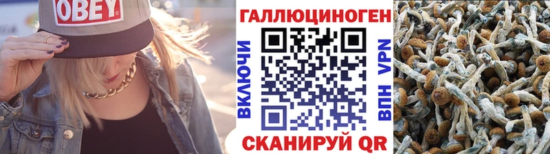 Галлюциногенные грибы ЛСД  Купить закладки  Выкса 